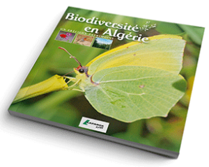 Biodiversité en Algérie précieux patrimoine 